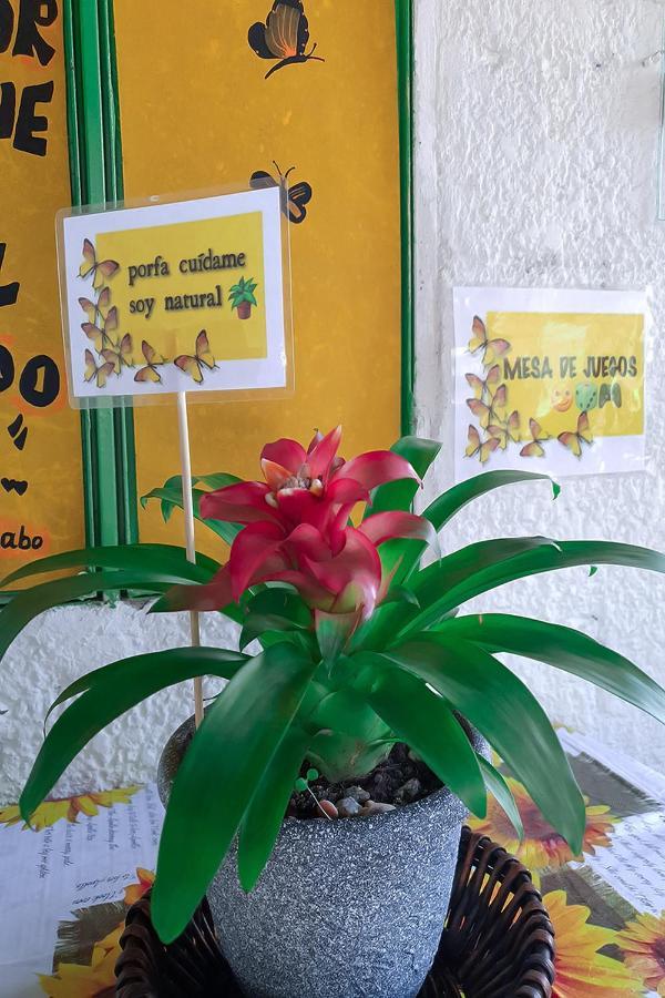 بوكارامانغا Hostal Gabo المظهر الخارجي الصورة